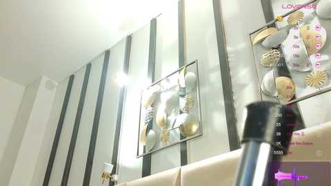 Media: Video of a modern bathroom with a mirrored wall, vertical metal accents, and decorative gold starfish mounted on a shelf. The scene is bright, with a metallic silver hairdryer visible in the foreground.