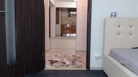 Media: Video of a modern bedroom with a beige tufted headboard, dark wooden door, and a patterned rug leading to a sleek, open-plan kitchen with stainless steel appliances and light-colored cabinets.