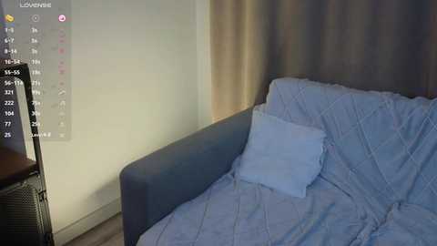 Media: A video of a dimly lit bedroom with a blue-gray sofa covered in light blue quilted bedding, featuring a single white pillow. The background shows beige walls and a curtain.