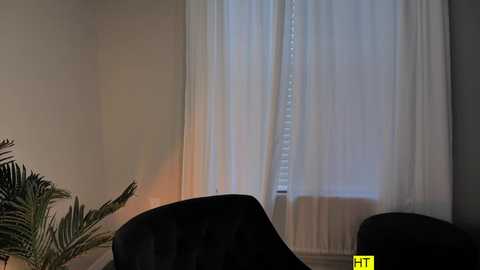 Media: Video of a dimly lit room with white sheer curtains, a black chair, and a green potted plant. The image has a yellow \"HT\" watermark in the bottom right corner.