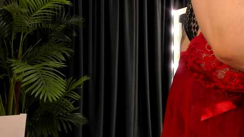 Media: Video of a woman in a red lace dress with intricate floral patterns, standing against a backdrop of dark green potted plants and black curtains.