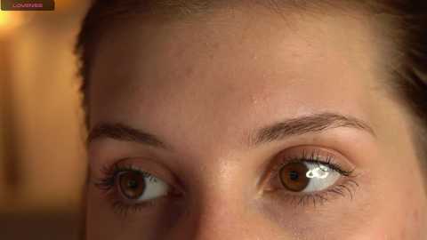 Media: Video of a close-up of a woman's eye and forehead, showcasing clear, brown eyes with a reflective surface and a few stray hairs on her forehead. The background is blurred with warm, ambient lighting.