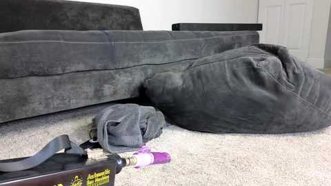 Media: Video of a plush gray sofa with a gray, oversized, plush dog bed in the foreground. A purple dog toy and leash are on the beige carpet.