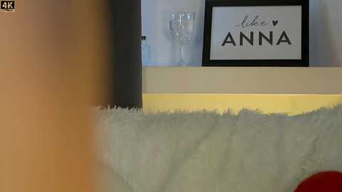 Media: Video of a living room with a white furry rug, a framed \"Like Anna\" sign, and a glass of champagne on a shelf.