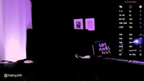 Media: A dimly lit, grainy video shows a room with a laptop displaying \"LAST WORK HOUR\" in white text. The background is dark, with a purple glow and a blurred figure in the foreground. The username \"mannyuh\" is visible.