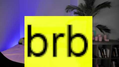 Media: A digital image with a bright yellow box covering the text \"brb\" in a dark room with a blurred, minimalist decor featuring a palm tree and bookshelf.