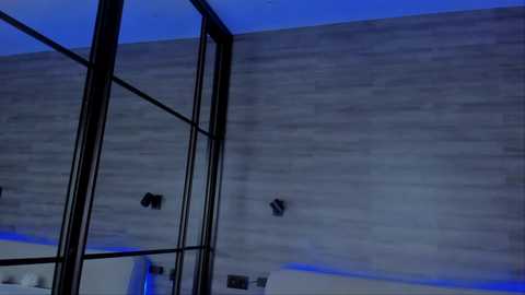 Media: A video of a modern interior space with a large, glass-fronted bookshelf against a light grey, textured wall. The lighting is dim, with blue hues accentuating the sleek, minimalist design.