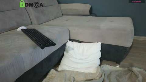 Media: Video of a modern living room featuring a beige sectional sofa with a black armrest and a white pillow. A black keyboard rests on the sofa. The background includes a teal wall and light wood flooring.