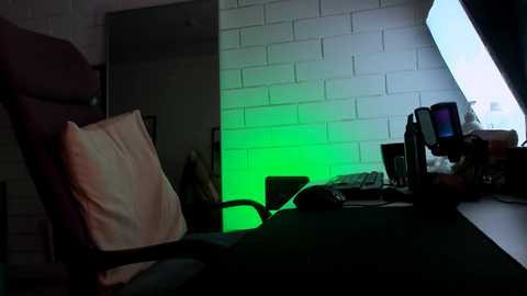 Media: Video of a dimly lit room with a white brick wall, a desk with a computer monitor, keyboard, and mouse, and a pink pillow on a chair.