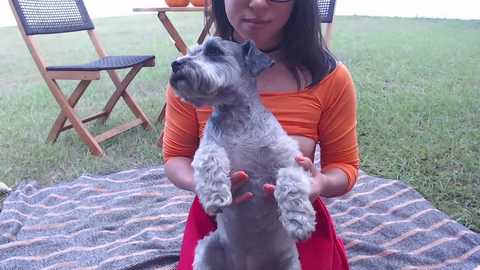 Media: A video of a young woman with glasses, medium-length dark hair, wearing an orange crop top, holding a small grey terrier on a striped blanket in a grassy outdoor setting.