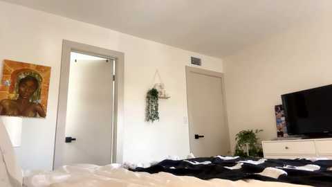 Media: Video of a minimalist bedroom with a white bed, black and white quilt, white door, green wall art, and a flat-screen TV on a white dresser.