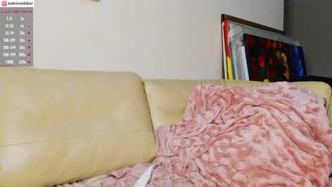 Media: Video of a beige leather couch with a pink, fluffy blanket partially draped over it. Behind the couch, a wall-mounted calendar and a colorful abstract painting are visible.