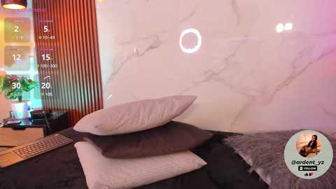 Media: Video of a modern bedroom with a white marble wall, a black bed, gray pillows, a green plant, and a digital clock.