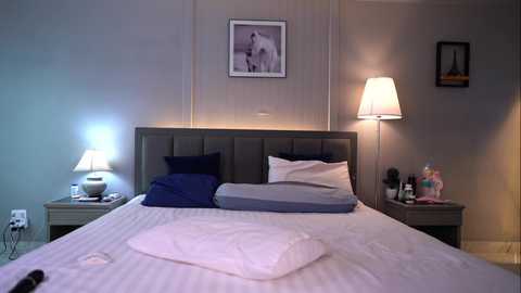 Media: Video of a minimalist bedroom with a tufted gray headboard, two white bedside lamps, and a framed monochrome photo on the wall.