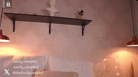 Media: Video of a dimly lit, rustic room with peeling wallpaper, two pendant lights, a black shelf with a green plant, and a text overlay with social media handles.