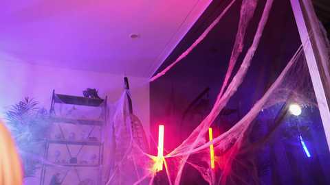 Media: A video of a dimly lit room with purple and pink lighting, featuring a hanging spiderweb with colorful lights and a tall, narrow shelving unit on the left.