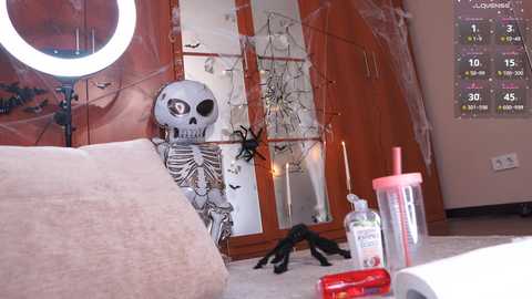 Media: Video of a Halloween-themed room with a skeleton doll, spider web, black spider, large spider toy, and a white plush blanket.