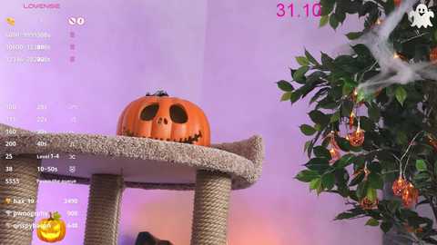 Media: Video of a Halloween-themed room with a carved pumpkin on a cat tree, a decorated Christmas tree, and a digital clock showing 31.10.