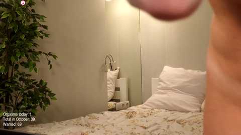 Media: Video of a cozy, well-lit bedroom with a beige bedspread, a white lamp, and a green potted plant. The room is serene, with a soft, muted color palette.