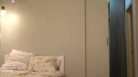 Media: Video of a minimalist bedroom with beige walls, a white bed with floral-patterned pillows, and a wooden wardrobe. A warm, single-bulb lamp hangs from the ceiling, casting a soft light.