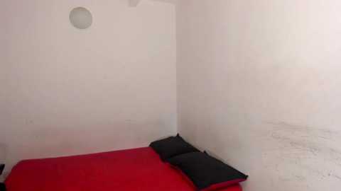 Media: A minimalist, empty room with white walls and a red mat on the floor, two black pillows at one end, and a small round light fixture above. The room is sparsely furnished, with a simple, utilitarian aesthetic.