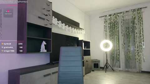 Media: A video of a modern, minimalist living room with a white wall, dark wooden shelving, white curtains, a white elephant statue, and a large, round floor lamp.