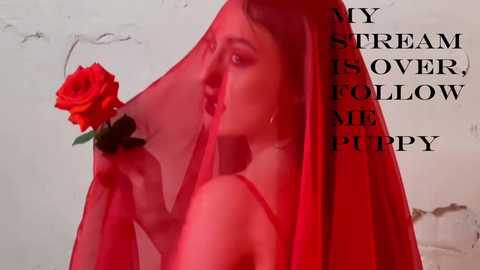 Media: Video of a woman in a sheer red veil holding a red rose, with text overlaying the image.