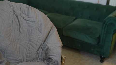 Media: Video of a living room featuring a green velvet couch with a quilted gray blanket draped over it, sitting on a beige carpeted floor. The background shows a plain white wall.