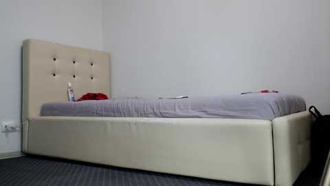 Media: A minimalist video of a modern, beige tufted headboard bed with a gray bedspread and red pillow. The room has white walls and a gray carpet, featuring a black bag in the bottom right corner.