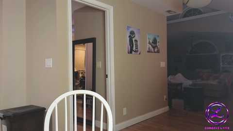 Media: Video of a beige-walled hallway with two Star Wars-themed posters, a white chair, and an open door revealing a cluttered bedroom.