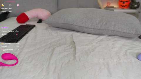 Media: A video of a messy bedroom with a gray bedspread, a pink vibrator, a red dildo, and a gray pillow. A black keyboard and a gray couch are visible in the background.