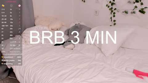 Media: Video of a cluttered, white bedroom with a messy bed, plush toys, and a digital clock displaying \"BBB 3 MIN.\" The background features a string of fairy lights and a green plant.