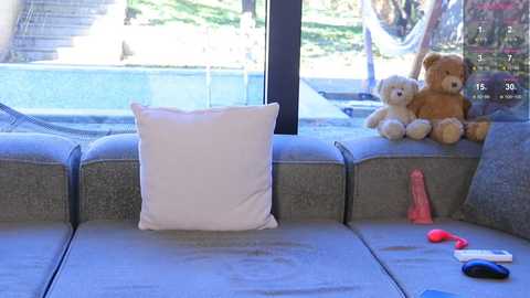 Media: Video of a modern living room with a plush grey sectional sofa, white throw pillow, stuffed toys, and sex toys on a coffee table by a large window overlooking a pool.