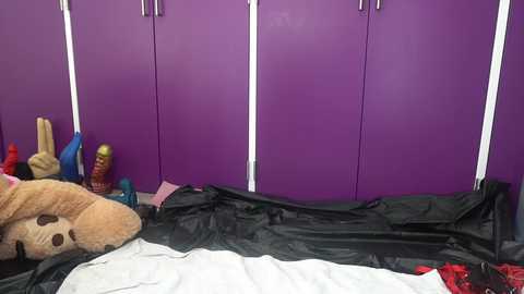 Media: Video of a purple-painted room with a black plastic sheet covering a white bed, stuffed animals, and a blue shoe on the floor.