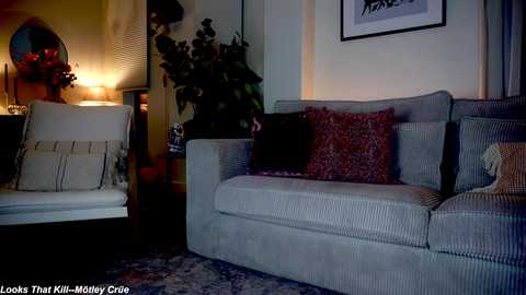 Media: Video of a dimly lit living room featuring a gray couch with a red patterned pillow, a white chair, and a warm lamp on a side table.