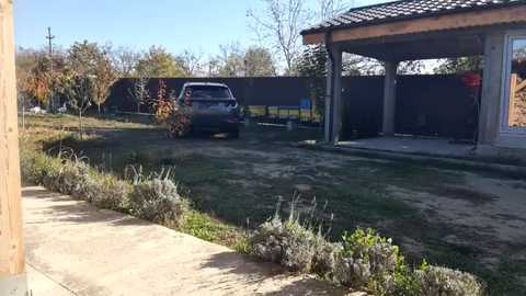 Media: Video of a concrete driveway with a parked SUV, surrounded by greenery, under a wooden carport with a tiled roof.