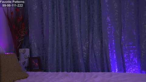 Media: A video of a dimly lit room with purple velvet curtains and a bed adorned with gold pillows. A small table holds a framed photo and decorative vase.