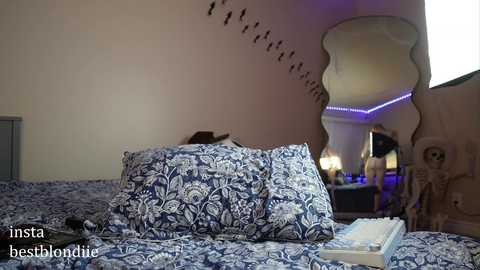 Media: A video of a bedroom with a blue and white patterned bedspread, two matching pillows, a decorative mirror, and a skull figurine on a shelf.