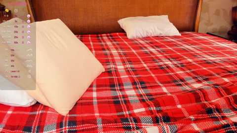 Video of a neatly made bed with a red and white plaid blanket, two white pillows, and a white bedspread. A wooden headboard and a calendar with dates visible on the left.