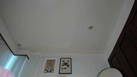 Media: Video of a white ceiling with a small light fixture, two framed posters, and a dark wooden door on the right. The left side has a window with sheer curtains.