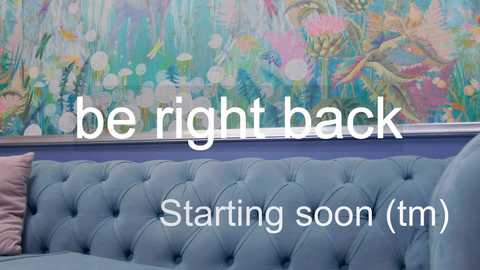 Media: Video of a pastel-colored, tufted, light blue sofa with a floral wallpaper backdrop. Text overlay reads, \"be right back (starting soon (tm)).\