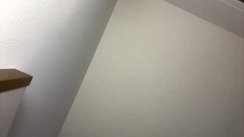 Media: Video of a minimalist interior wall with smooth, off-white paint and a wooden trim at the bottom left corner. The lighting is soft, casting subtle shadows.