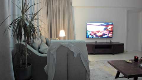 Media: Video of a modern living room with a beige couch, a tall potted plant, a flat-screen TV on a dark wooden entertainment unit, a plush white rug, and a warm-toned lamp.