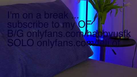 Media: Video of a bed with a blue-striped pillow and a bedside table featuring a plant and a lamp. Text overlay reads: \"I'm on a break... subscribe to my OF(B)G OnlyFans.com/SOLO onlyfans.com/solo\" in dark font.