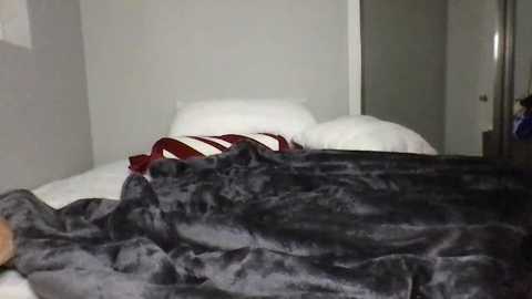 Media: Video of a bed with a white sheet, white pillows, and a dark gray blanket partially covering it. A striped red and white blanket is visible near the pillows. The background includes a white wall and a partially open door.