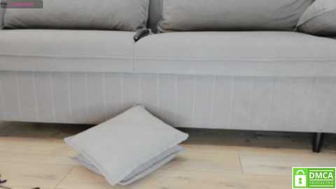 Media: Video of a beige sofa with cushions, a white foam wedge cushion on the floor, and a small piece of paper on the left corner, featuring a DICA logo.