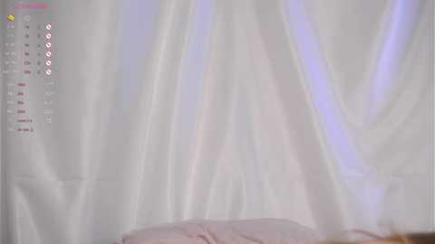 Media: Video of a bedroom with a white, semi-transparent curtain draped over a bed. The curtain has a slight, ethereal glow. The bed has soft, light-colored bedding.