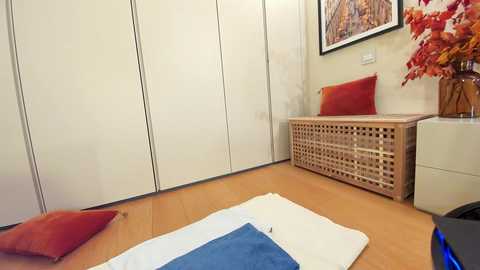 Media: Video of a minimalist, modern bedroom with white sliding wardrobe, light wooden bench, red and blue pillows, a wooden basket, and a vase of autumnal flowers.