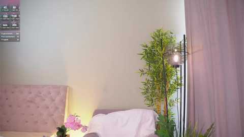 Media: Video of a serene bedroom with light green walls, a tufted pink headboard, a white pillow, a bamboo plant, and a black standing lamp, with a digital clock and weather display on the wall.