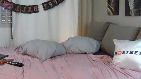 Media: Video of a cozy bedroom with a pink bedspread, two gray pillows, a white pillow with \"HOSTBE\" text, a black \"HAPPY BIRTHDAY\" banner, and a framed poster on a white wall.